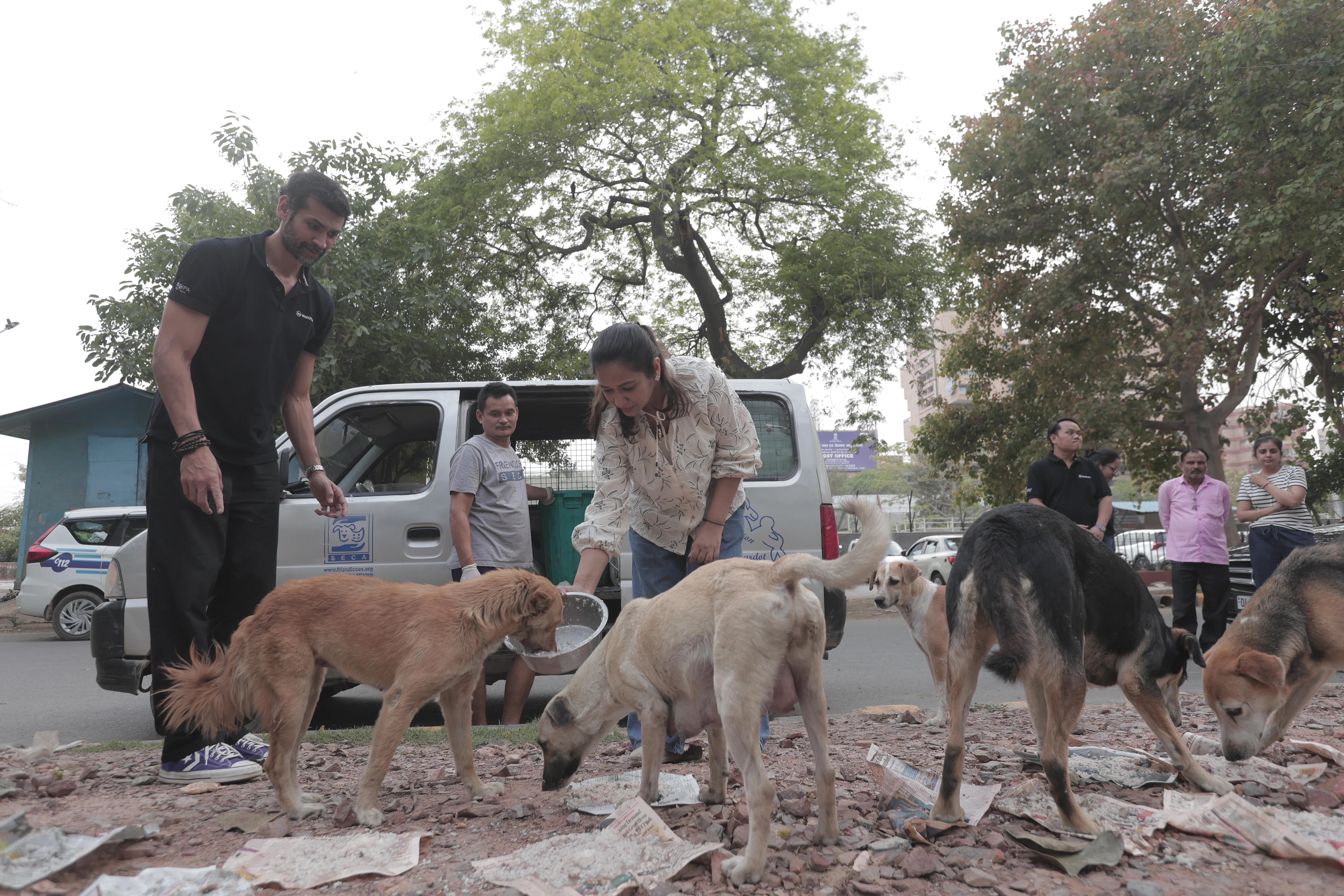 Animal welfare story